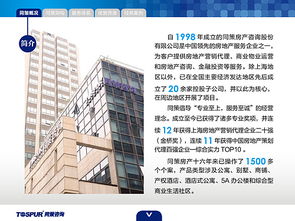 房地產(chǎn)咨詢服務(wù) 賦能決策，驅(qū)動(dòng)價(jià)值